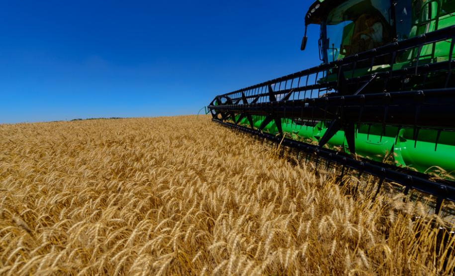 Desempenho do agronegócio em 2018