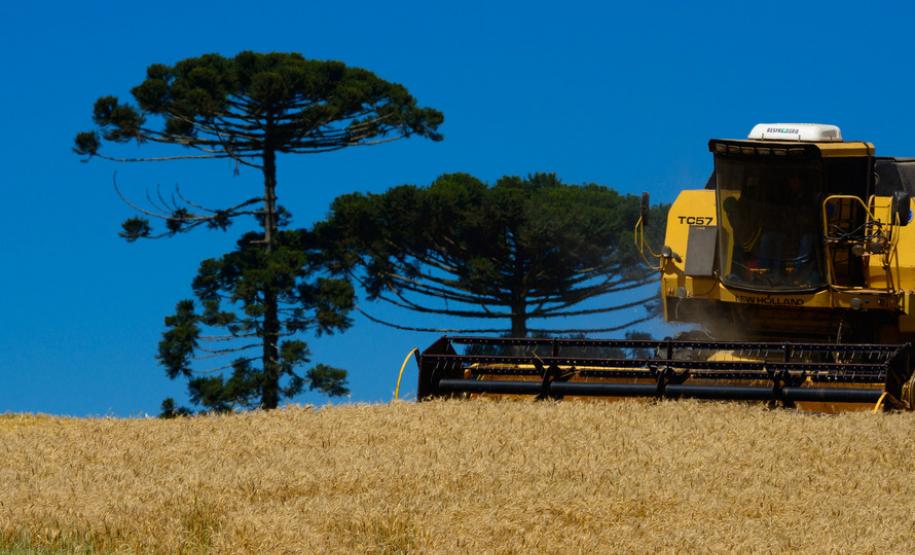 Deral divulga pesquisa da safra de grãos 17/18 relativa ao mês de janeiro