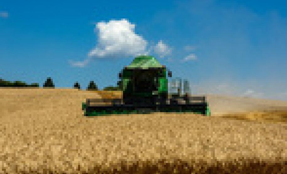 Safra paranaense de verão pode atingir 23 milhões de toneladas