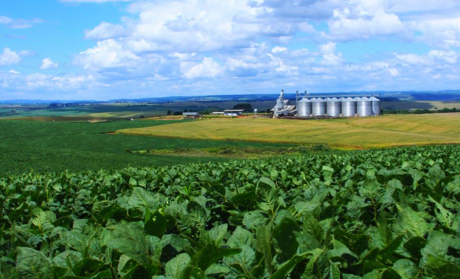 Seab, Faep e Ocepar se unem na elaboração de um documento conjunto sobre o Plano Safra 2018/19 encaminhado ao ministério da Agricultura, Pecuária e Abastecimento