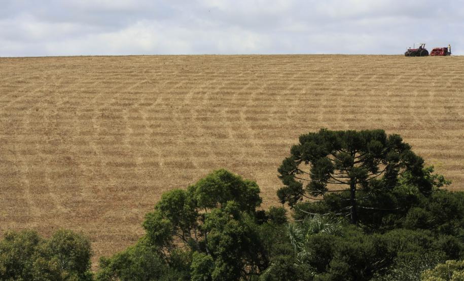 Acompanhamento do Deral sobre a safra de grãos do Paraná 2017/18
