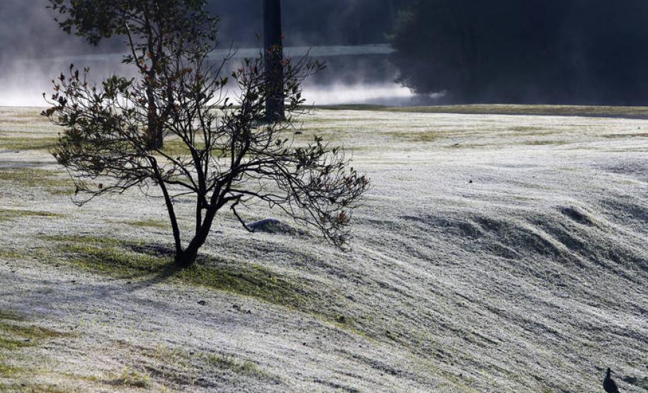 Simepar e Iapar iniciam Alerta Geada Serviço de Alerta Geada é lançado no Paraná