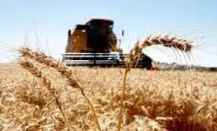 Cadeia produtiva pede aumento de 16% no preço mínimo Cadeia produtiva pede aumento de 16% no preço mínimo