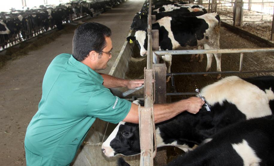 Dia 15 encerra o prazo para os produtores regularizarem sua situação