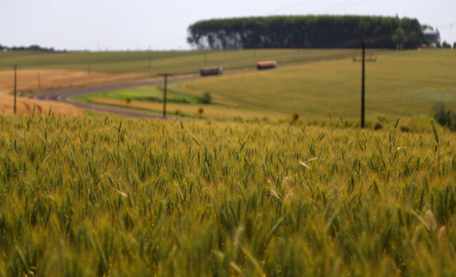 Dados foram divulgados pelo IBGE na terça-feira