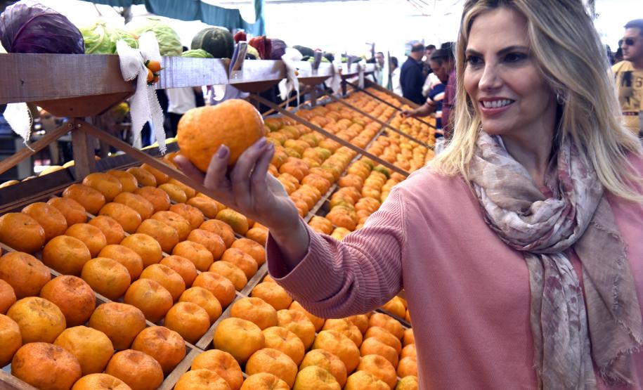 Ação vai possibilitar o escoamento da safra da região com mais segurança e agilidade