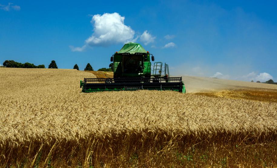 Paraná deve colher 36 milhões de toneladas de grãos Paraná deve colher 36 milhões de toneladas de grãos