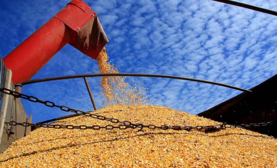 Safra de grãos do Paraná deve atingir 23,3 milhões de toneladas Safra de grãos do Paraná deve atingir 23,3 milhões de toneladas