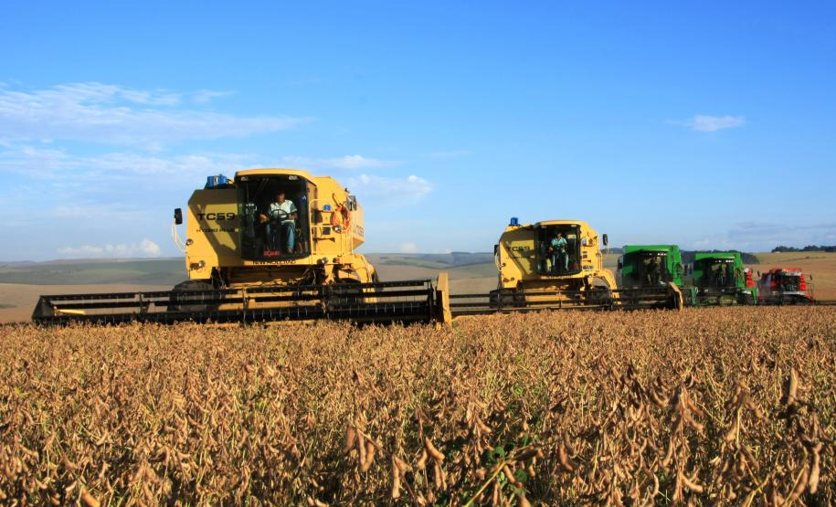 Paraná confirma produção de 23 milhões de toneladas de grãos