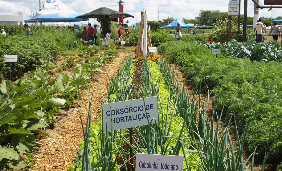 Parceria entre Emater e Ocepar incentiva pequenas cooperativas
