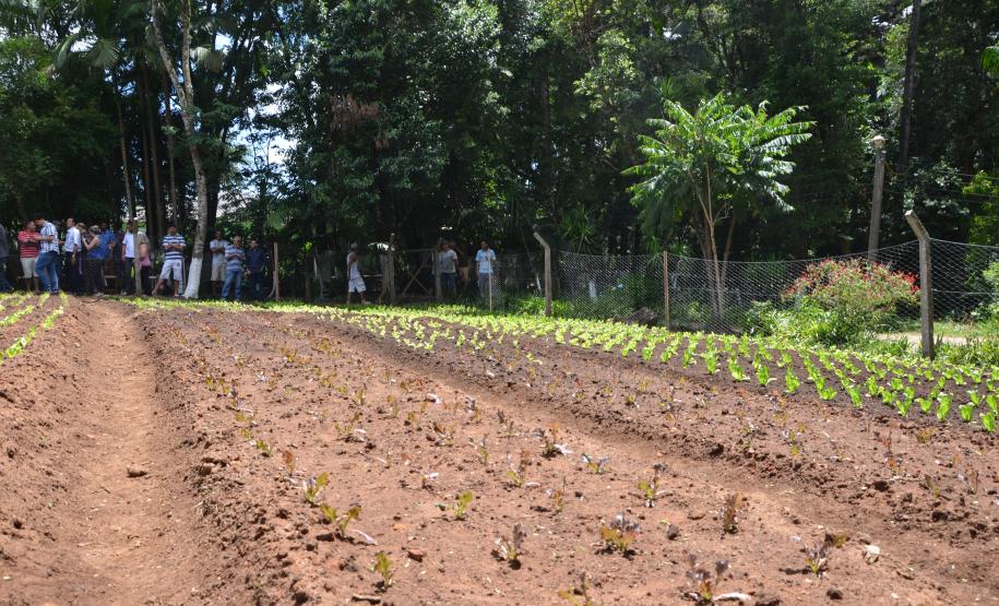 Hortas Comunitárias inaugura primeira unidade em Curitiba