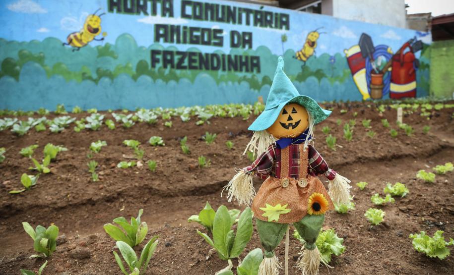 Programa Hortas Comunitárias inaugura segunda unidade Programa Hortas Comunitárias inaugura segunda unidade