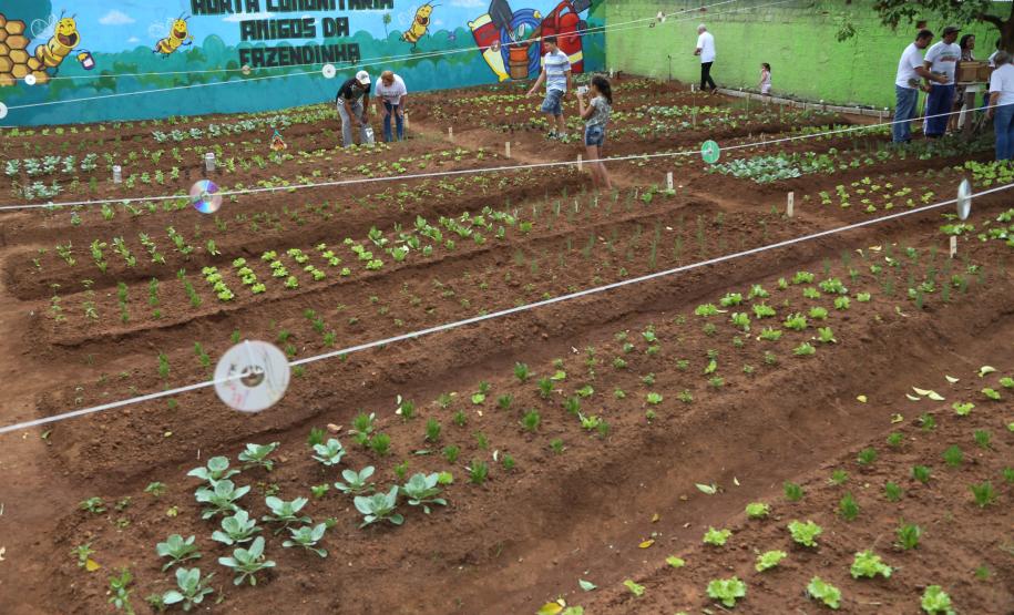 Programa Hortas Comunitárias inaugura segunda unidade Programa Hortas Comunitárias inaugura segunda unidade