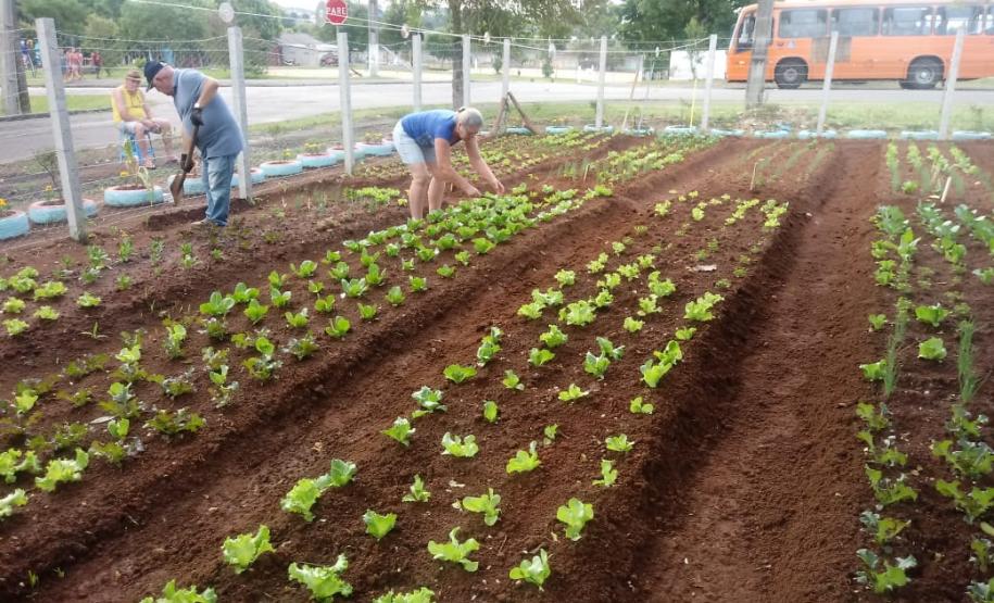 Programa Hortas Comunitárias inaugura segunda unidade Programa Hortas Comunitárias inaugura segunda unidade