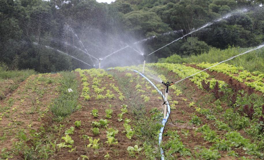 Governo vai fortalecer apoio às pequenas cooperativas