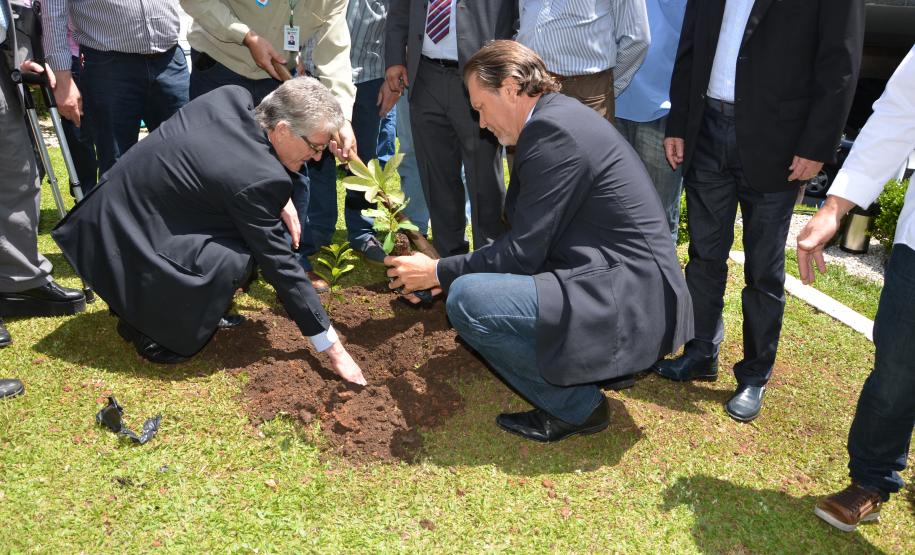 Audiência pública discutiu política nacional de erva-mate