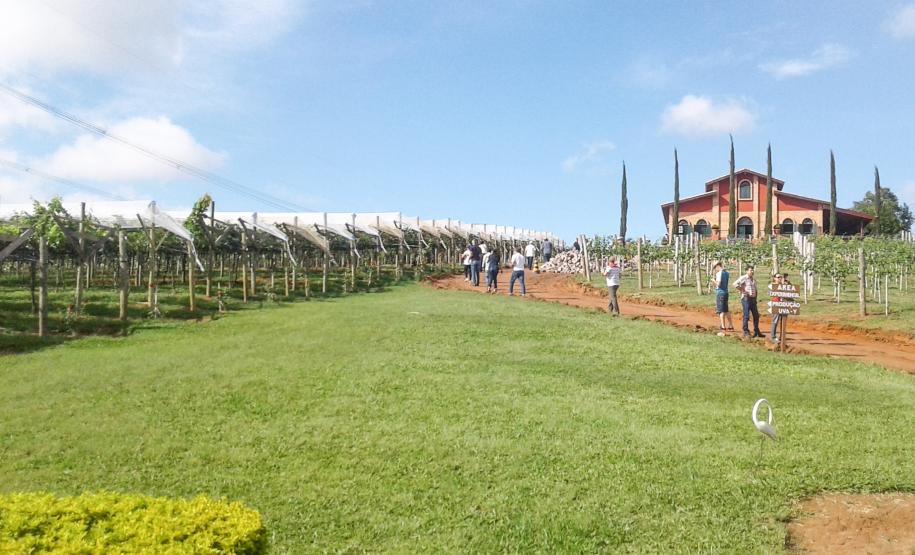 Agricultores do Vale do Ivaí conhecem tecnologias usadas na produção de frutas excursão de produtores paranaenses do Vale do Ivaí aos municípios que compõem o Circuito das Frutas, em São Paulo