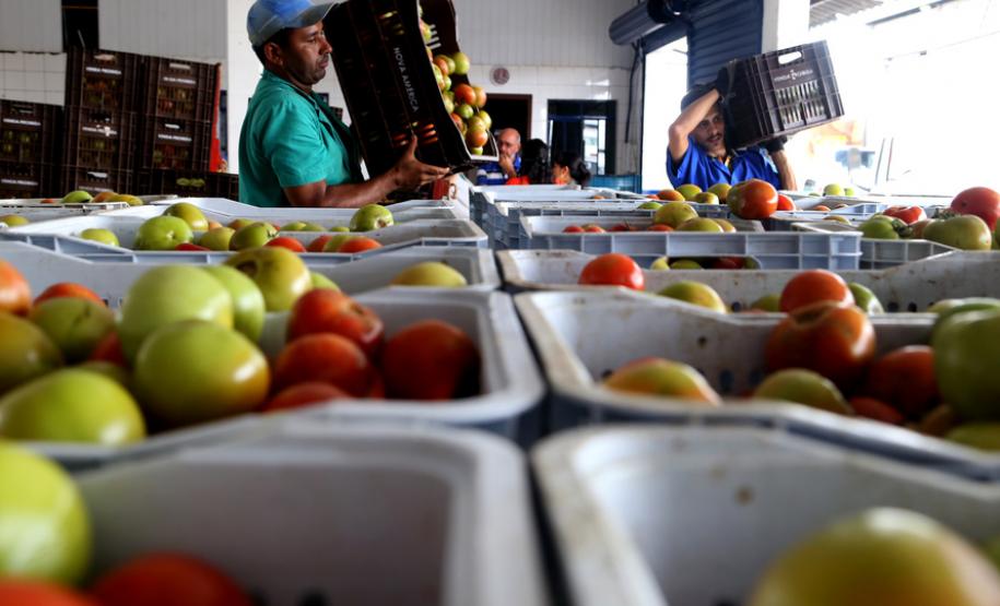 Paraná inicia programa para reduzir desperdício de alimentos