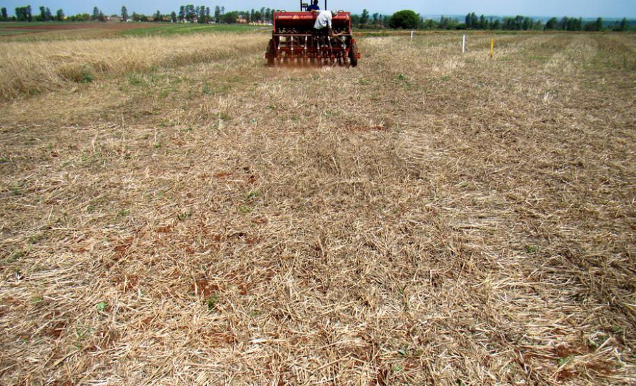 Tecnologia desenvolvida no Paraná contribui para o equilíbrio ambiental Tecnologia desenvolvida no Paraná contribui para o equilíbrio ambiental