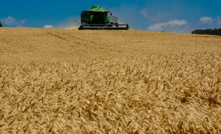 Valor Bruto da Produção do Paraná chega a R$ 89,6 bilhões Valor Bruto da Produção do Paraná chega a R$ 89,6 bilhões