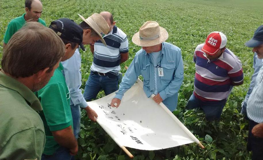 Manejo Integrado de Pragas garante mais renda ao produtor A adoção da técnica reduz em 50% as aplicações de inseticidas, o que contribui para a preservação do meio ambiente e menos intoxicação de agricultores.