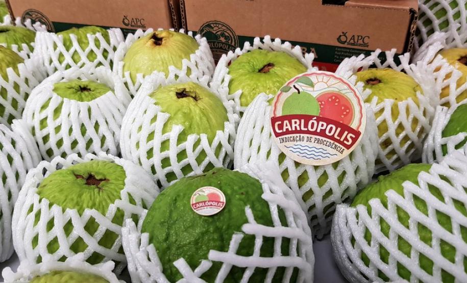 Acordo Mercosul-União Europeia valoriza produtos típicos paranaenses Produtos com Indicação Geográfica