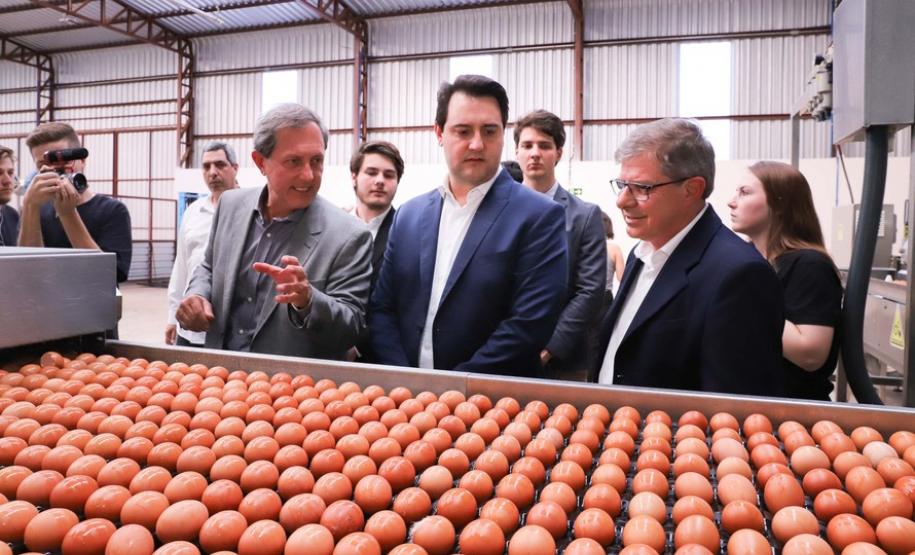 Sistema pioneiro de produção de ovos recebe certificação SISBI Granja em Cascavel é pioneira na produção de ovos com galinhas criadas em sistema sem gaiolas