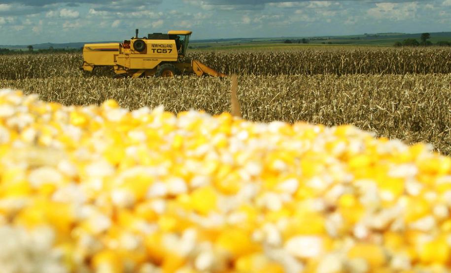 Safra de grãos no Paraná deve atingir 37 milhões de toneladas Segundo dados do Deral, da Secretaria de Estado da Agricultura, esse volume equivale a um aumento de 5% sobre a safra anterior, que rendeu cerca de 35,4 milhões de toneladas.