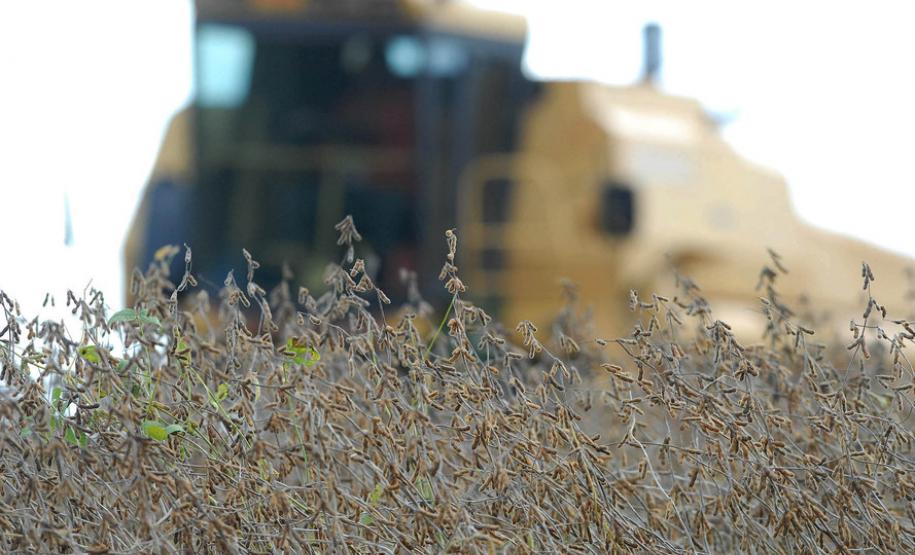 Safra de grãos no Paraná deve atingir 37 milhões de toneladas Segundo dados do Deral, da Secretaria de Estado da Agricultura, esse volume equivale a um aumento de 5% sobre a safra anterior, que rendeu cerca de 35,4 milhões de toneladas.