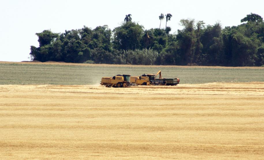 Safra de grãos no Paraná deve atingir 37 milhões de toneladas Segundo dados do Deral, da Secretaria de Estado da Agricultura, esse volume equivale a um aumento de 5% sobre a safra anterior, que rendeu cerca de 35,4 milhões de toneladas.