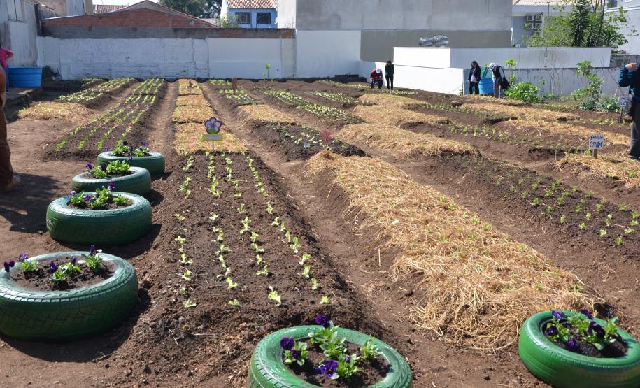 Trabalho de revitalização foi concluído e inaugurado. Projeto que tem a participação do Governo do Estado, prefeitura de Curitiba e moradores da região reúne 21 famílias, cada uma com um canteiro.