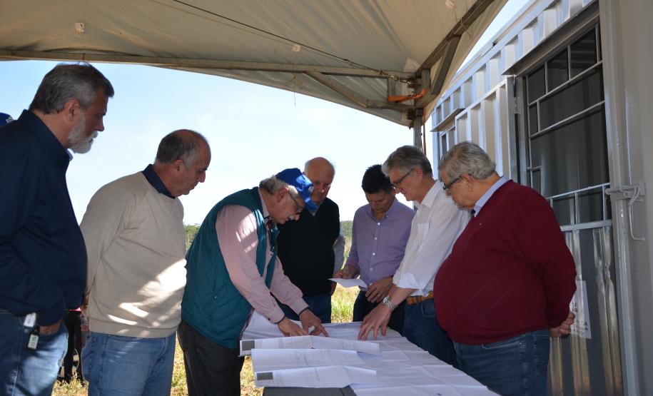 Paraná avança para suspender vacinação contra febre aftosa
