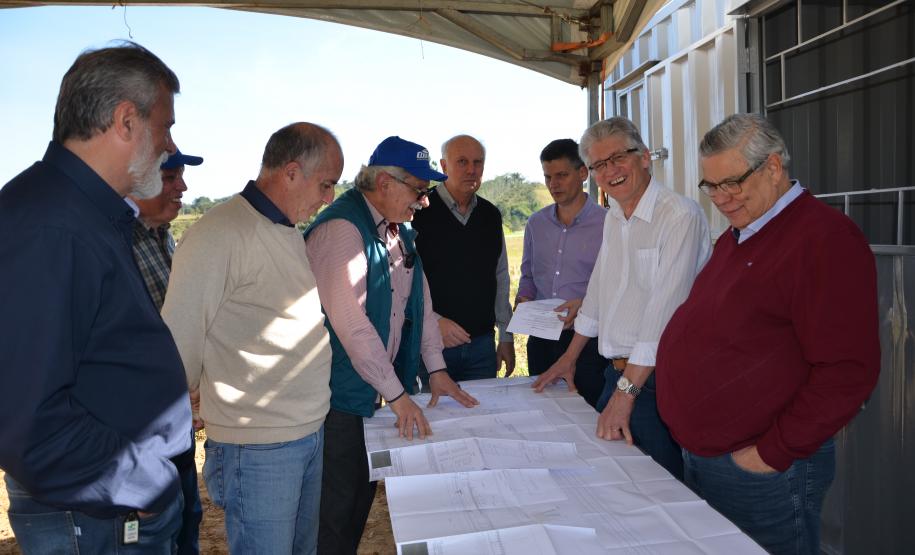 Paraná avança para suspender vacinação contra febre aftosa