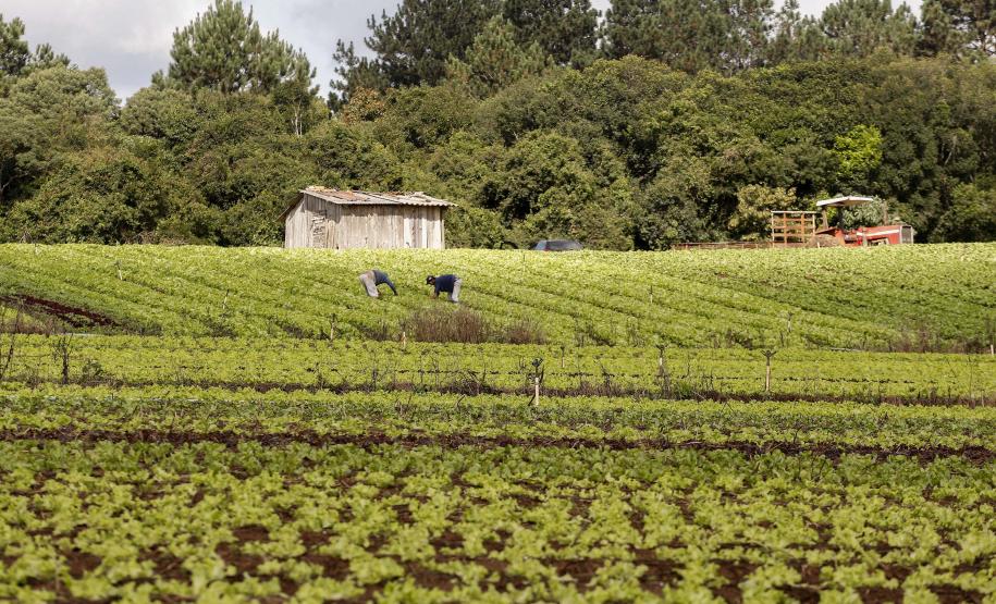 Governo do Estado lança edital de apoio a pequenas cooperativas Governo do Estado lança edital de apoio a pequenas cooperativas