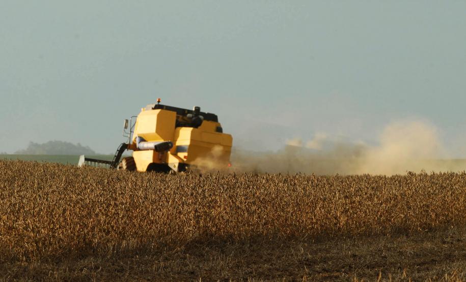 Paraná prevê 23,3 milhões de toneladas na safra de verão 2019/2020 Paraná prevê 23,3 milhões de toneladas na safra de verão 2019/2020
