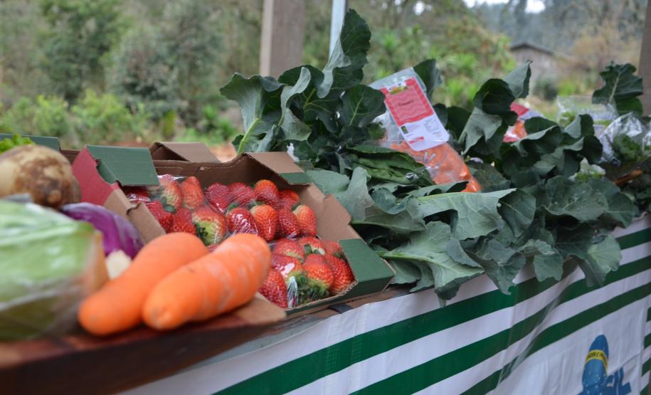Agudos do Sul inaugura unidade de processamento de alimentos