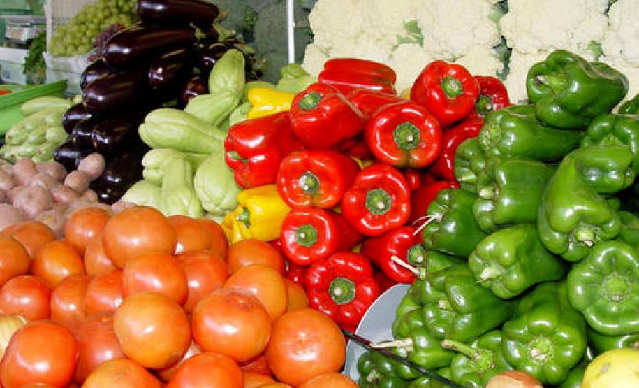 Agricultura vai intensificar a agroecologia no Paraná Agricultura vai intensificar a agroecologia no Paraná