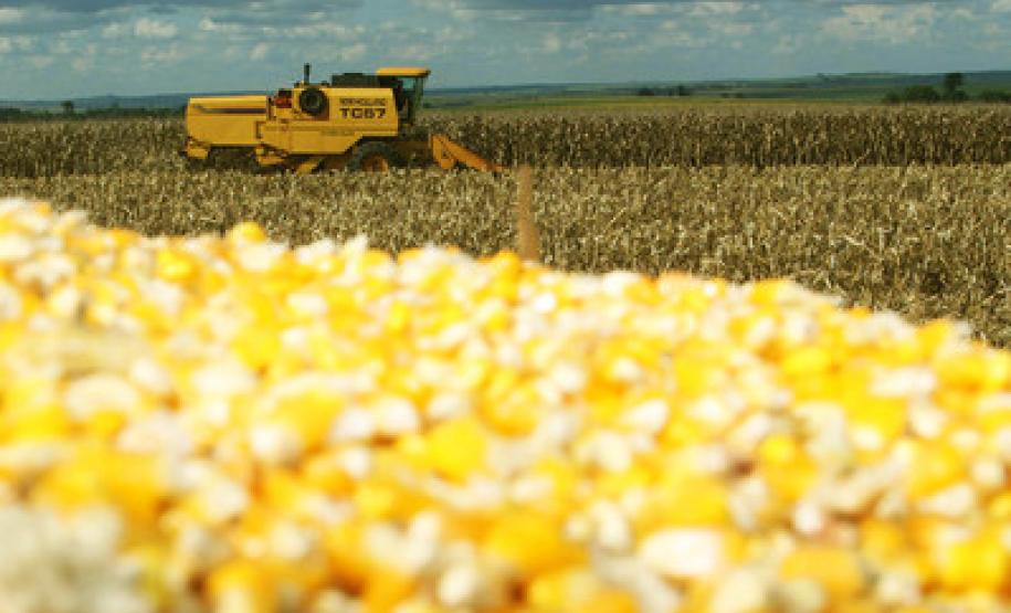 Paraná inicia colheita de safra recorde de grãos de verão Matéria sobre desempenho da safra paranaense