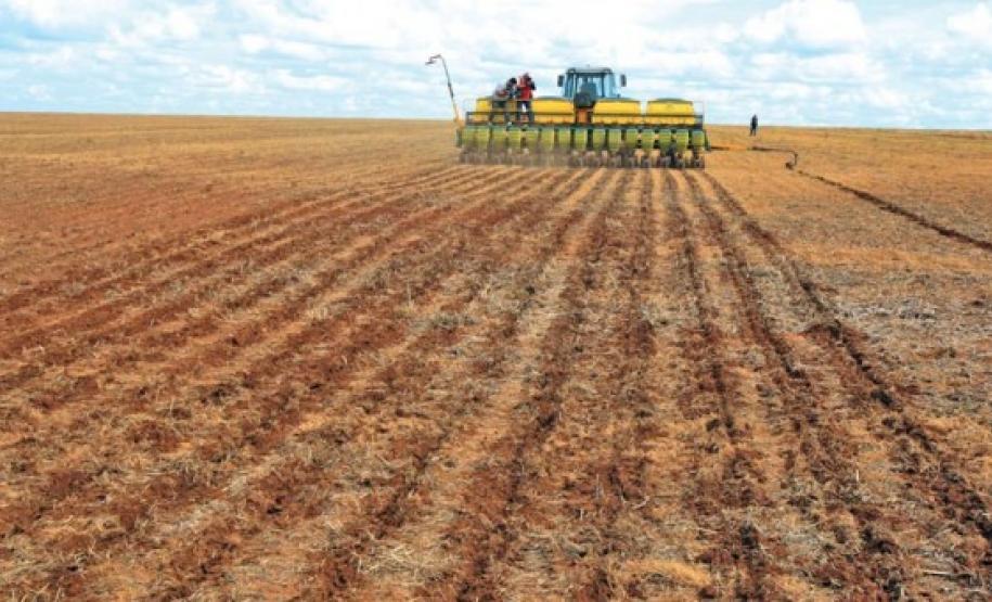 plantio de soja