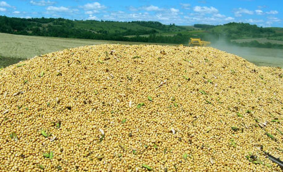Paraná poderá colher 19 milhões de toneladas de soja, maior safra da história Paraná poderá colher 19 milhões de toneladas de soja, maior safra da história
