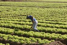 Secretário Norberto Ortigara fala no Dia do Agricultor