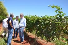 Secretário visita empreendimento de fruticultura em Santo Antônio do Paraíso