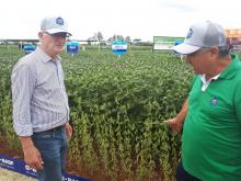 Dia de Campo mostra avanços tecnológicos da agricultura