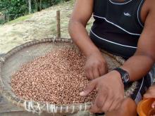 Programa Negócios da Terra, da Rede Massa, apresentado dia 3 de janeiro de 2020