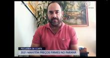 Pecuária de corte no Paraná - Programa Mais Pecuária