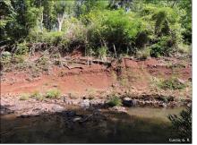 Linha de pedra formada por transborde fluvial em Cambissolo Flúvico