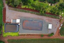 Vizinhos compartilham biodigestor para produzir energia limpa da suinocultura