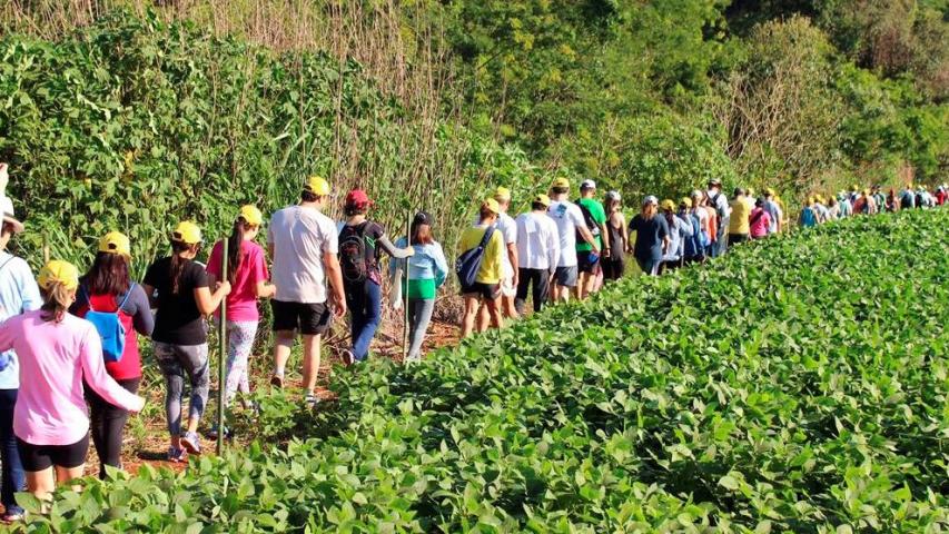 Caminhadas da Natureza