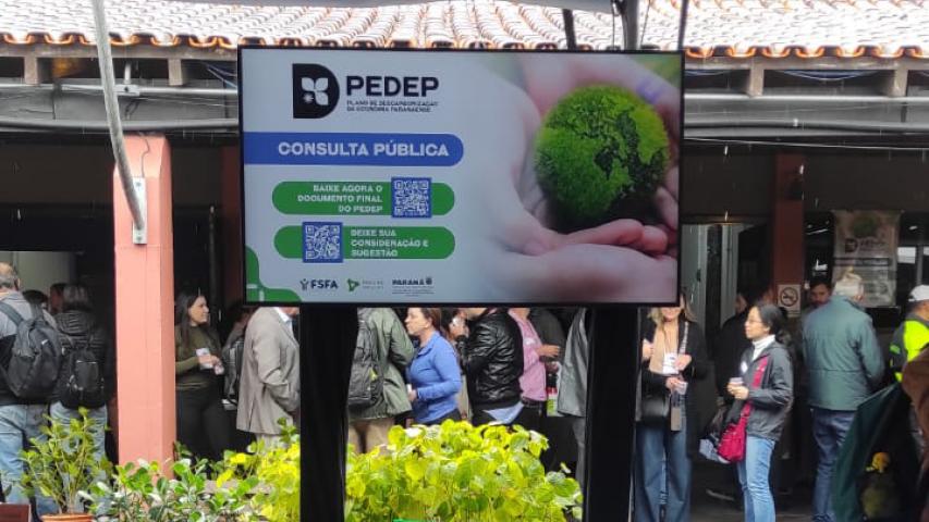 PEDEP