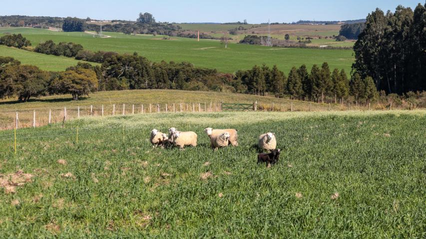 Ratinho Junior sanciona lei que prevê aumento do investimento em conectividade rural